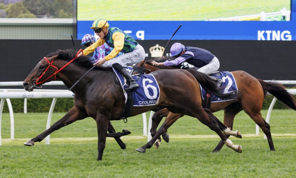 箭队的压制 箭队的压制